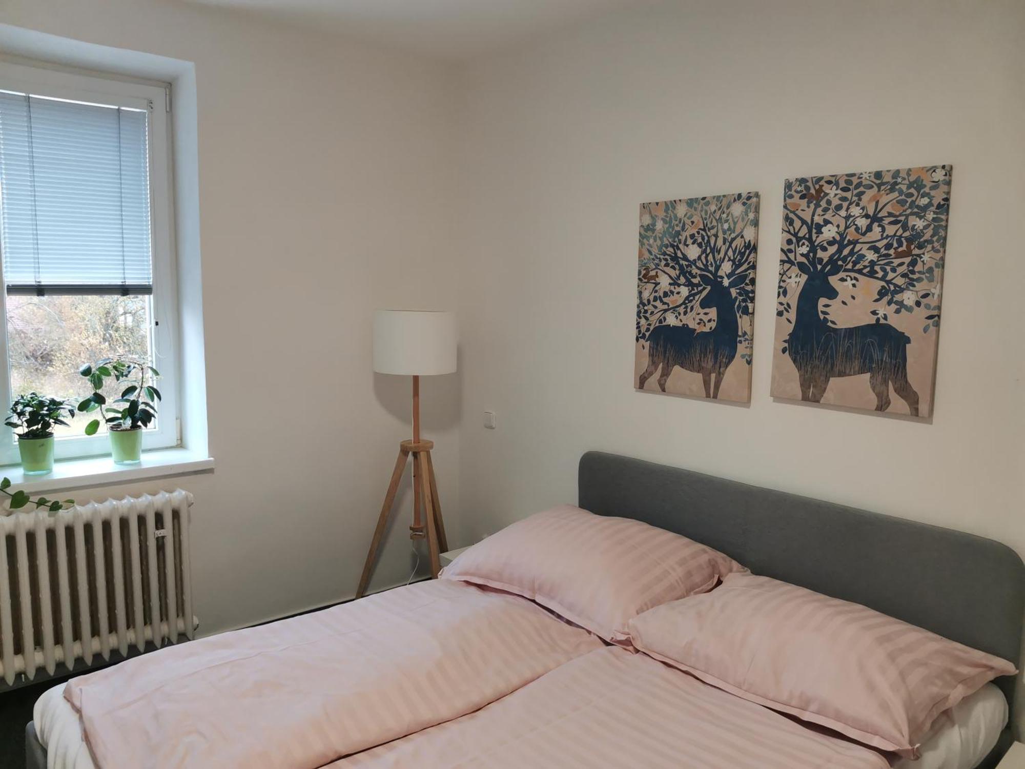 Nová Pec Apartmany Pekna 10 מראה חיצוני תמונה